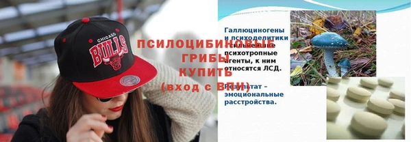 МДПВ Богданович