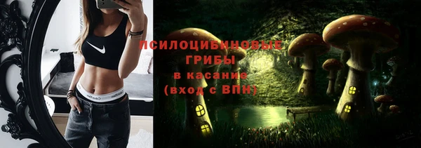 прущие грибы Богородицк