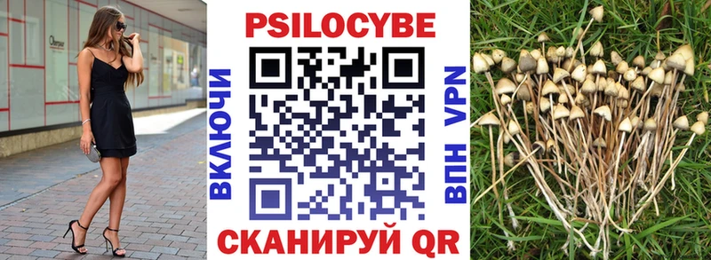 Галлюциногенные грибы мицелий  где купить   мега   Кстово 