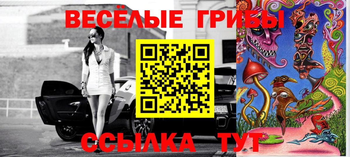 Кстово  Галлюциногенные грибы Cubensis  дарнет шоп  Вход с VPN 