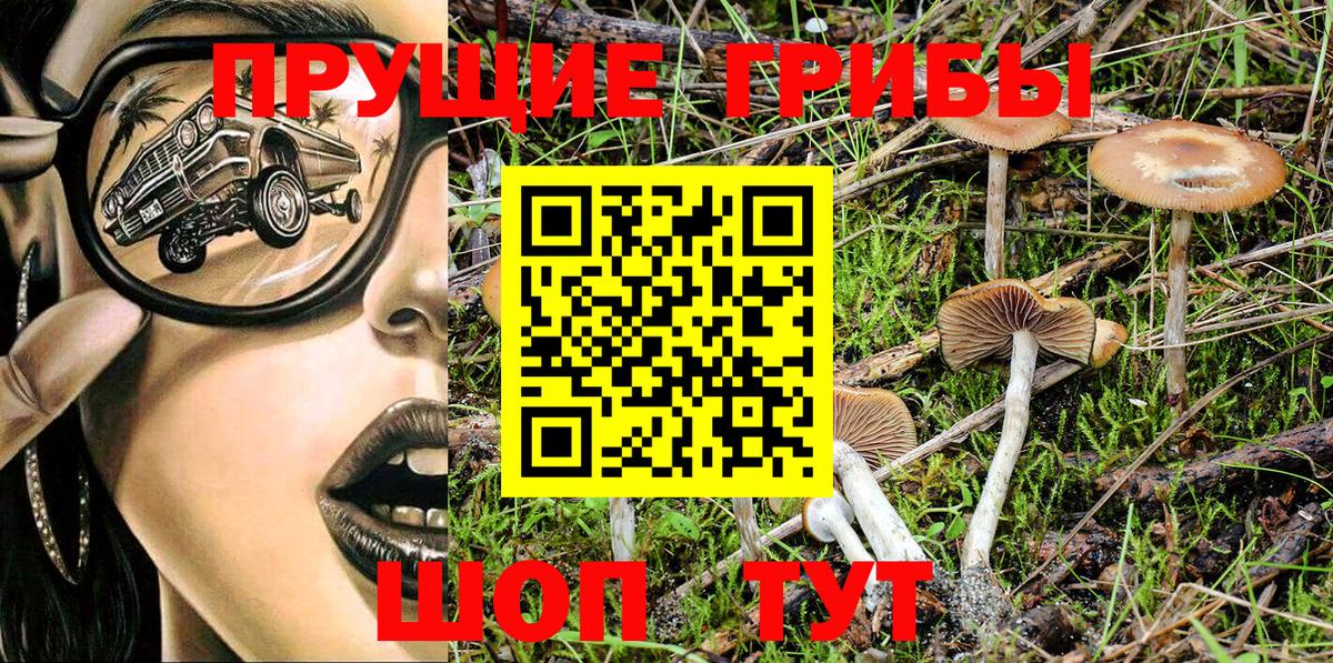 Псилоцибиновые грибы MAGIC MUSHROOMS Кстово
