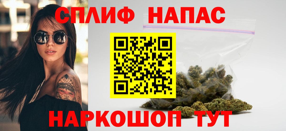 Каннабис сатива Кстово